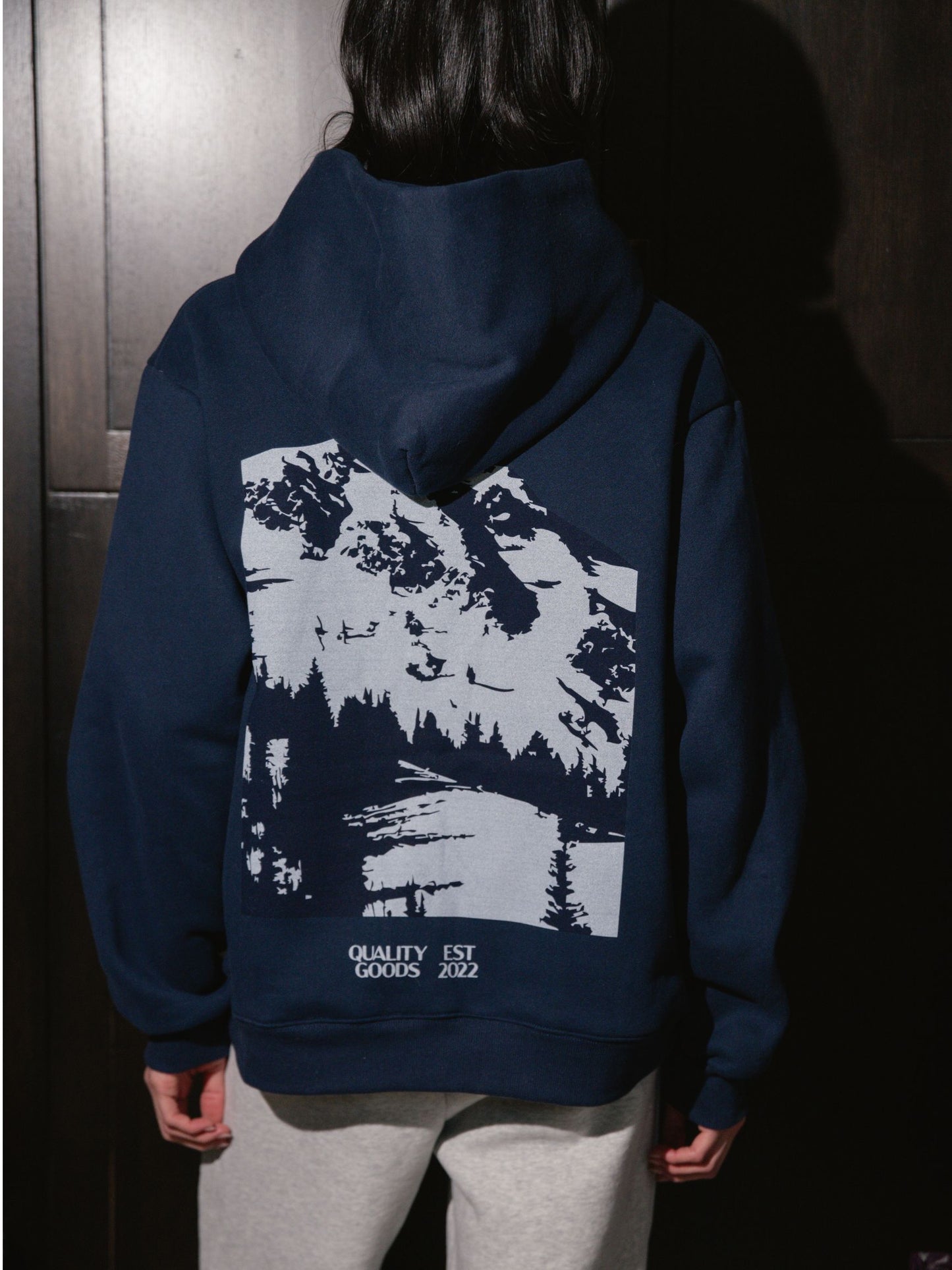 Parke Sport Graphic Hoodie - Shadow