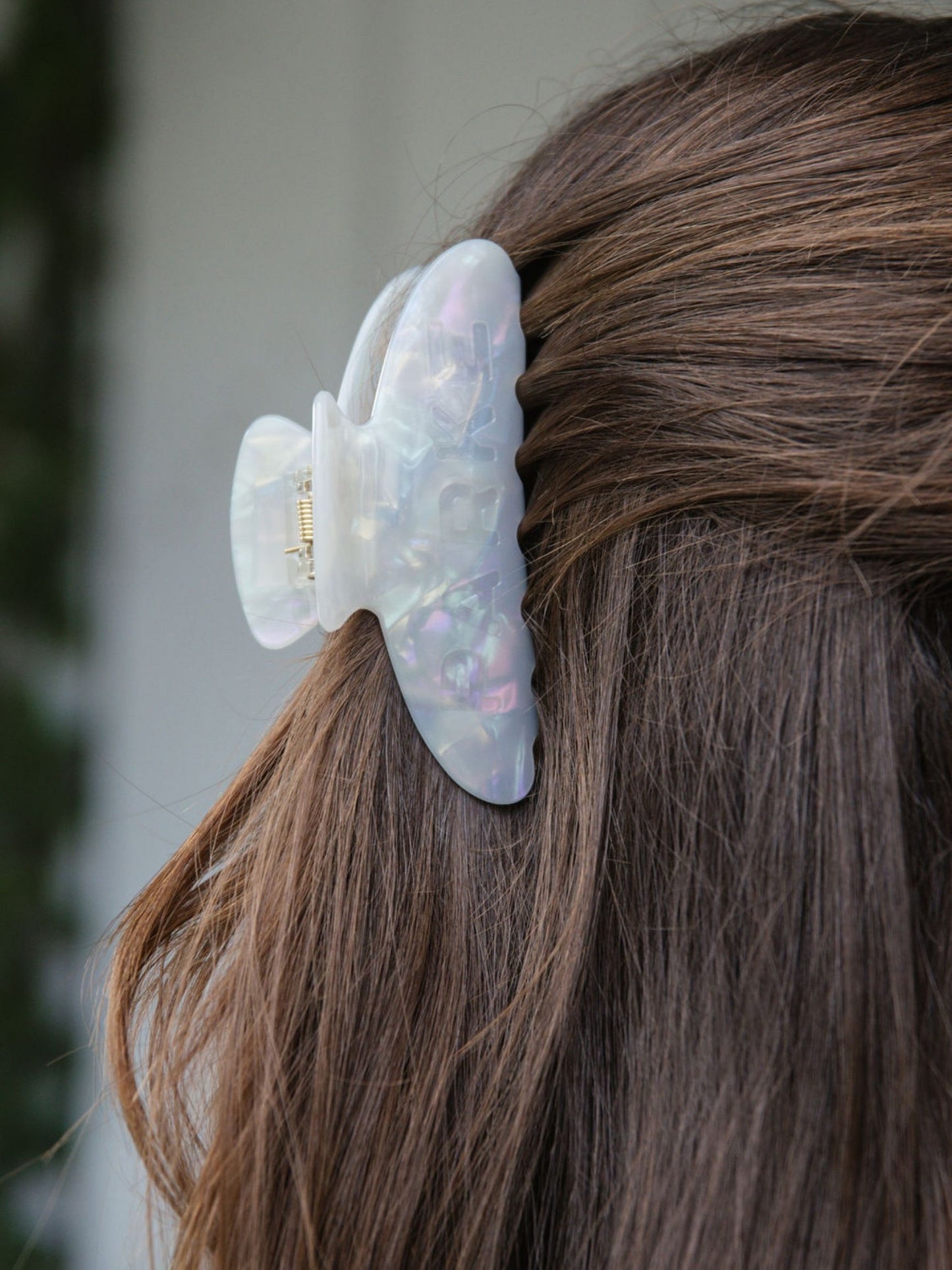 Claw Clip