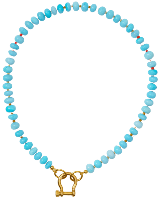 spicy dan necklace flat lay -sky