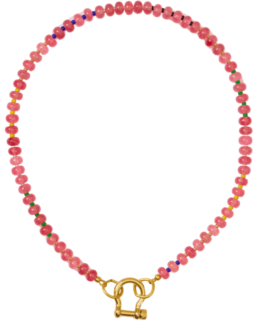 spicy dan necklace flat lay -apple