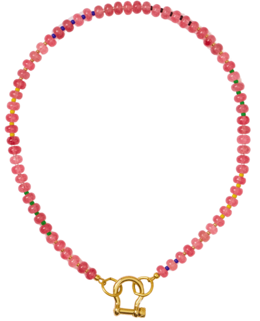 spicy dan necklace flat lay -apple