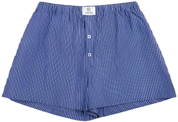 striped boxer shorts flat lay -dark blue stripe